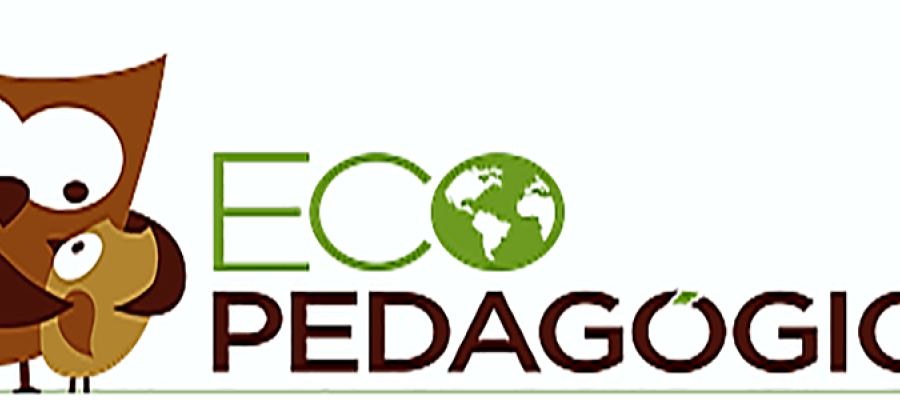 Ecopedagógica No. 11